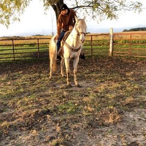 Meet your Posher, Fabian